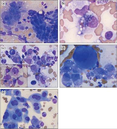 fig9.29A-E.jpg