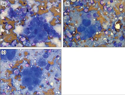 fig9.30A-C.jpg