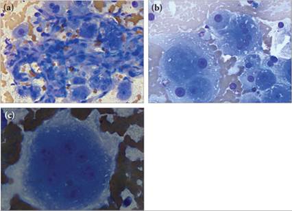 fig9.34A-C.jpg
