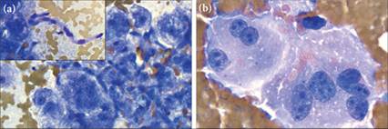 fig9.36A.jpg