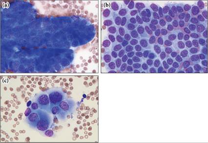 fig9.37A-C.jpg