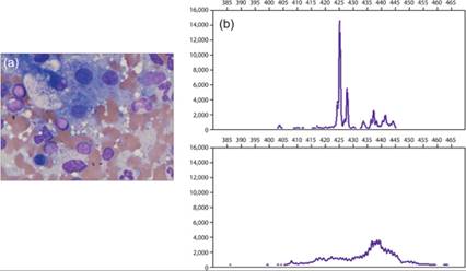 fig9.43A.jpg