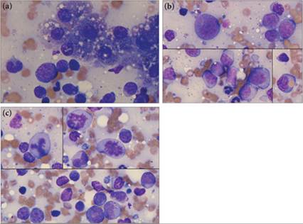 fig9.44A-C.jpg