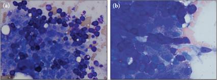 fig9.45A.jpg