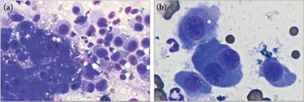 fig9.47A.jpg