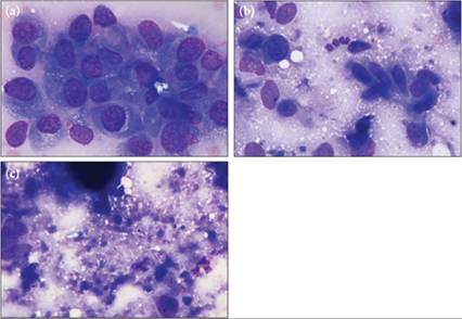 fig9.48A-C.jpg