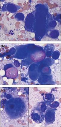 fig9.49A-C.jpg
