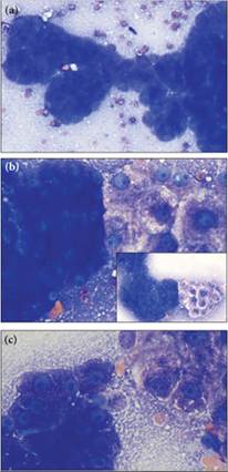 fig9.50A-C.jpg