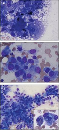 fig9.51A-C.jpg