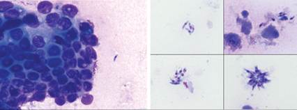 fig9.57.jpg