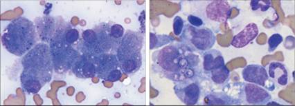 fig9.59A.jpg
