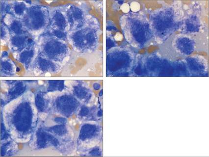 fig9.61A-C.jpg