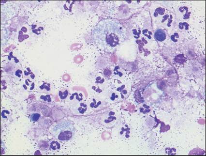 fig10.5.jpg