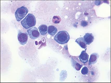 fig10.8.jpg