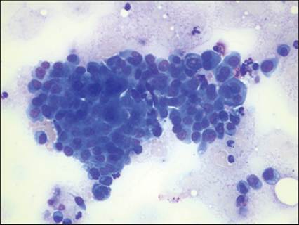fig10.9.jpg