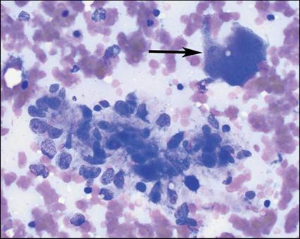 fig10.13.jpg