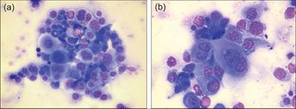 fig10.20A.jpg