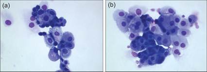 fig10.22A.jpg