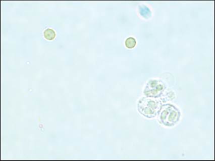 fig10.27.jpg
