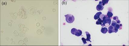 fig10.32A.jpg