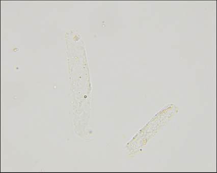 fig10.33.jpg