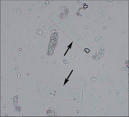 fig10.37.jpg