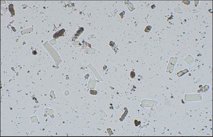 fig10.38.jpg