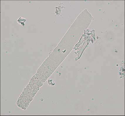 fig10.39.jpg