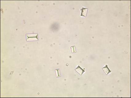 fig10.41.jpg