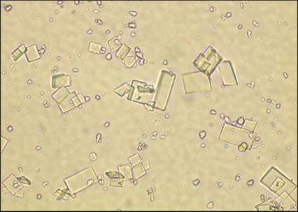 fig10.42.jpg