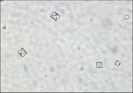 fig10.43.jpg