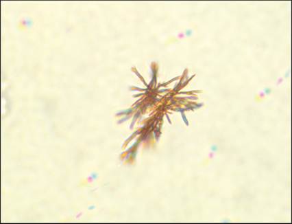 fig10.46.jpg