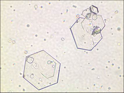 fig10.50.jpg