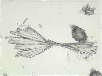 fig10.52.jpg