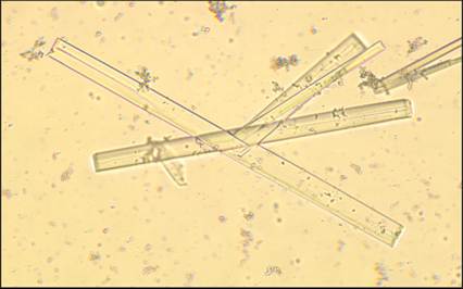 fig10.53.jpg