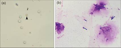 fig10.56A.jpg