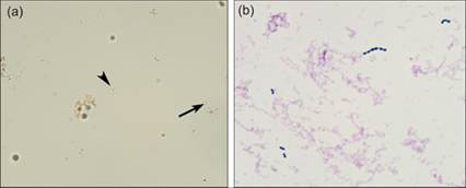 fig10.57A.jpg