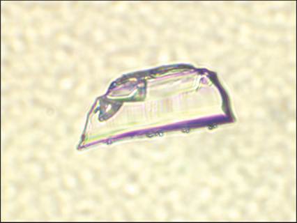 fig10.65.jpg