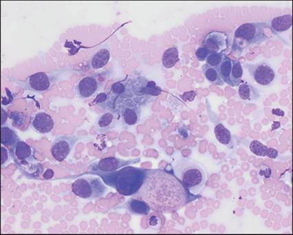 fig10.68.jpg