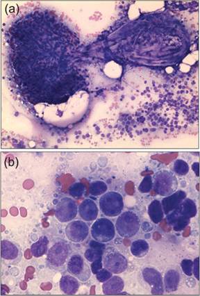 fig10.69A.jpg