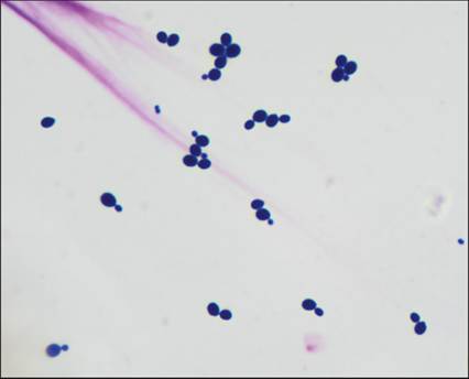 fig10.74.jpg