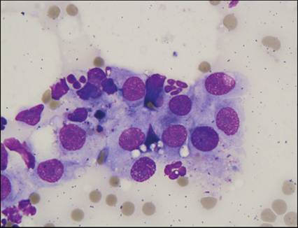 fig11.45.jpg