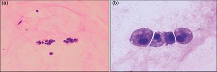 fig12.6A.jpg