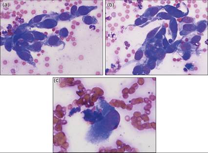 fig12.8A-C.jpg