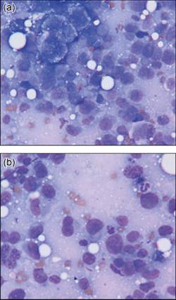 fig12.9A.jpg