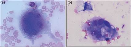 fig12.14A.jpg