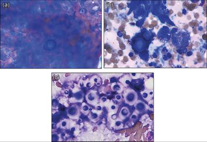 fig12.16A-C.jpg
