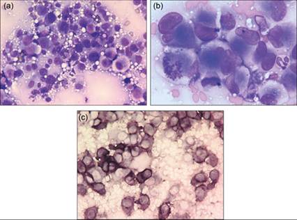 fig12.18A-C.jpg