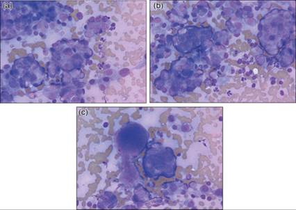 fig12.20A-C.jpg