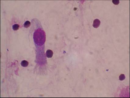 fig13.4.jpg